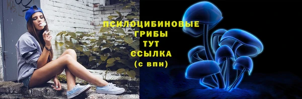 apvp Алексеевка