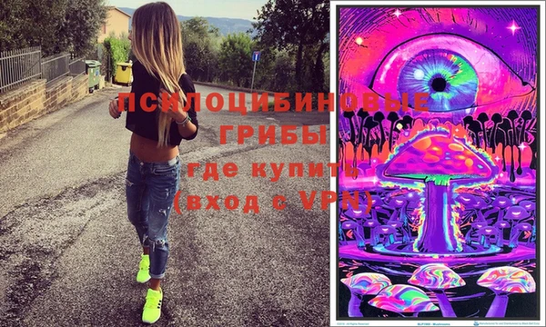 гидра Алзамай