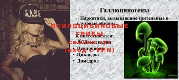 гидра Алзамай